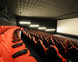 Entertainment video field